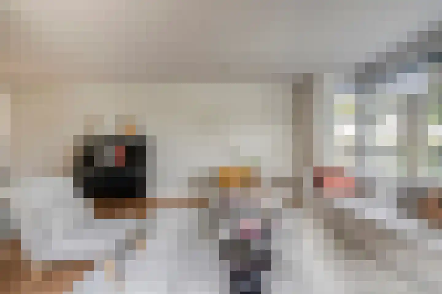 Welsumerlaan 30 Barneveld thumbnail 14
