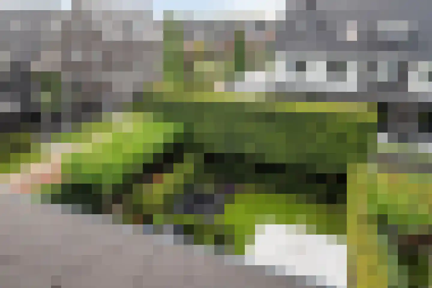 Welsumerlaan 30 Barneveld thumbnail 44