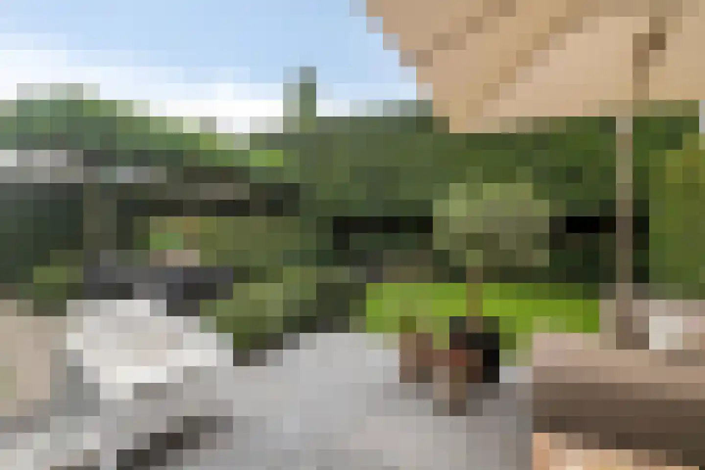 Welsumerlaan 30 Barneveld thumbnail 47