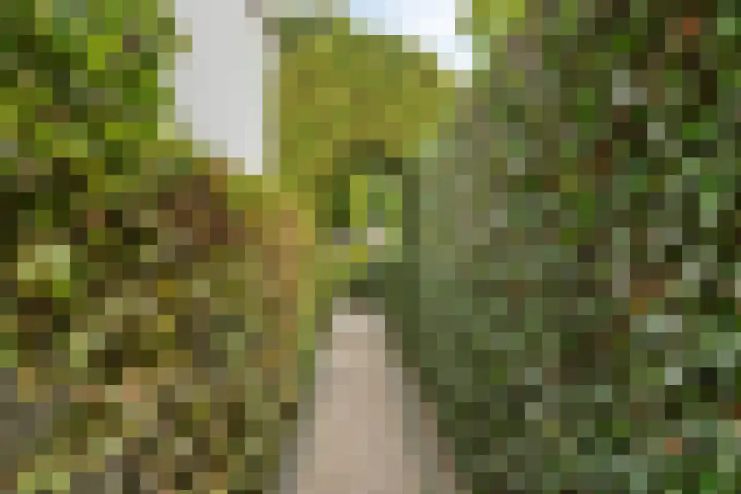 Welsumerlaan 30 Barneveld thumbnail 50