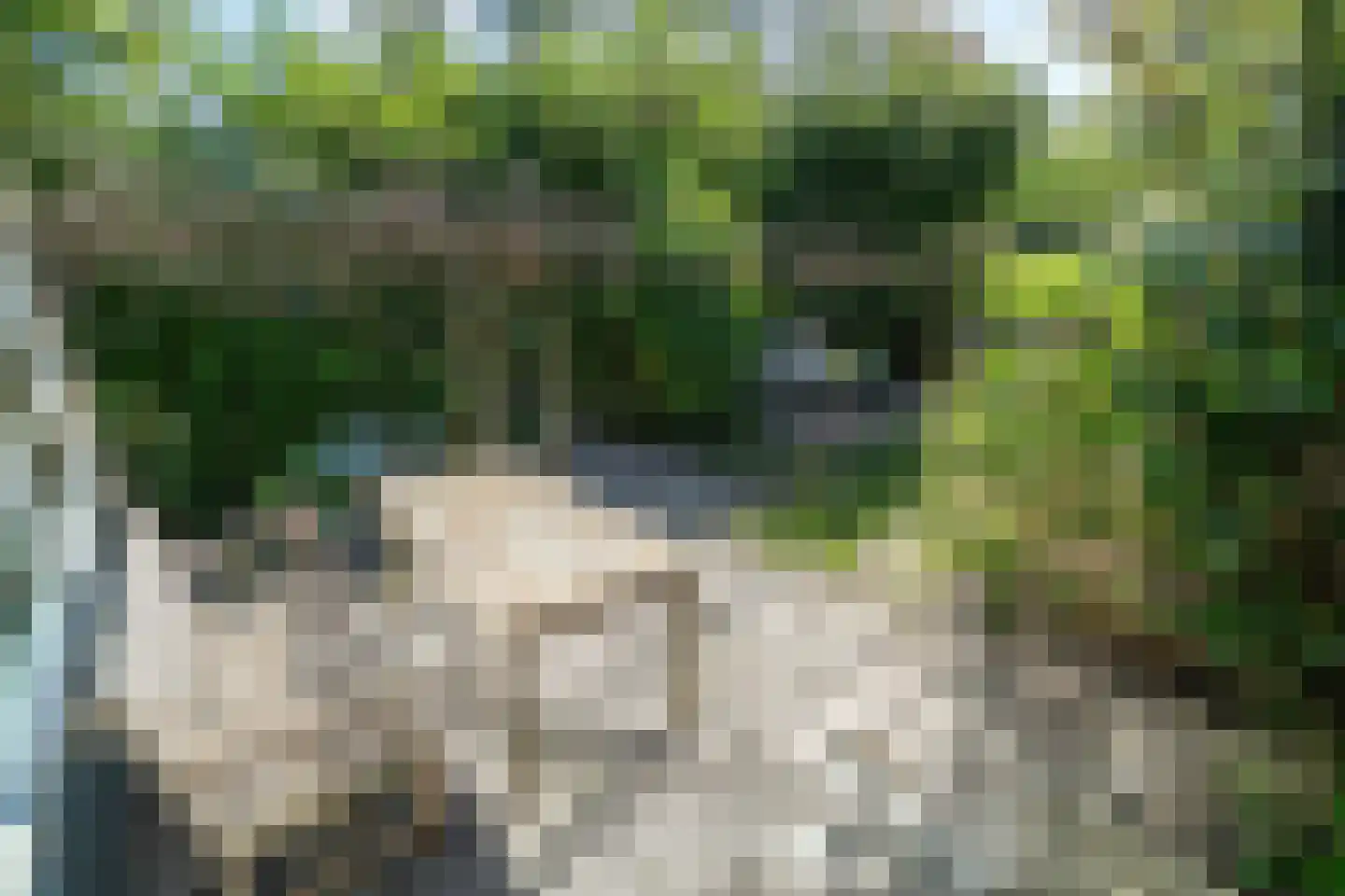 Welterdreef 171 Voorschoten thumbnail 15