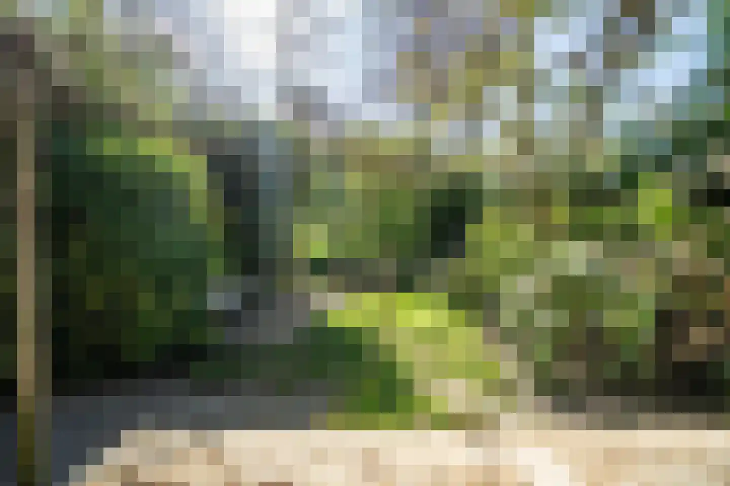 Welterdreef 171 Voorschoten thumbnail 16