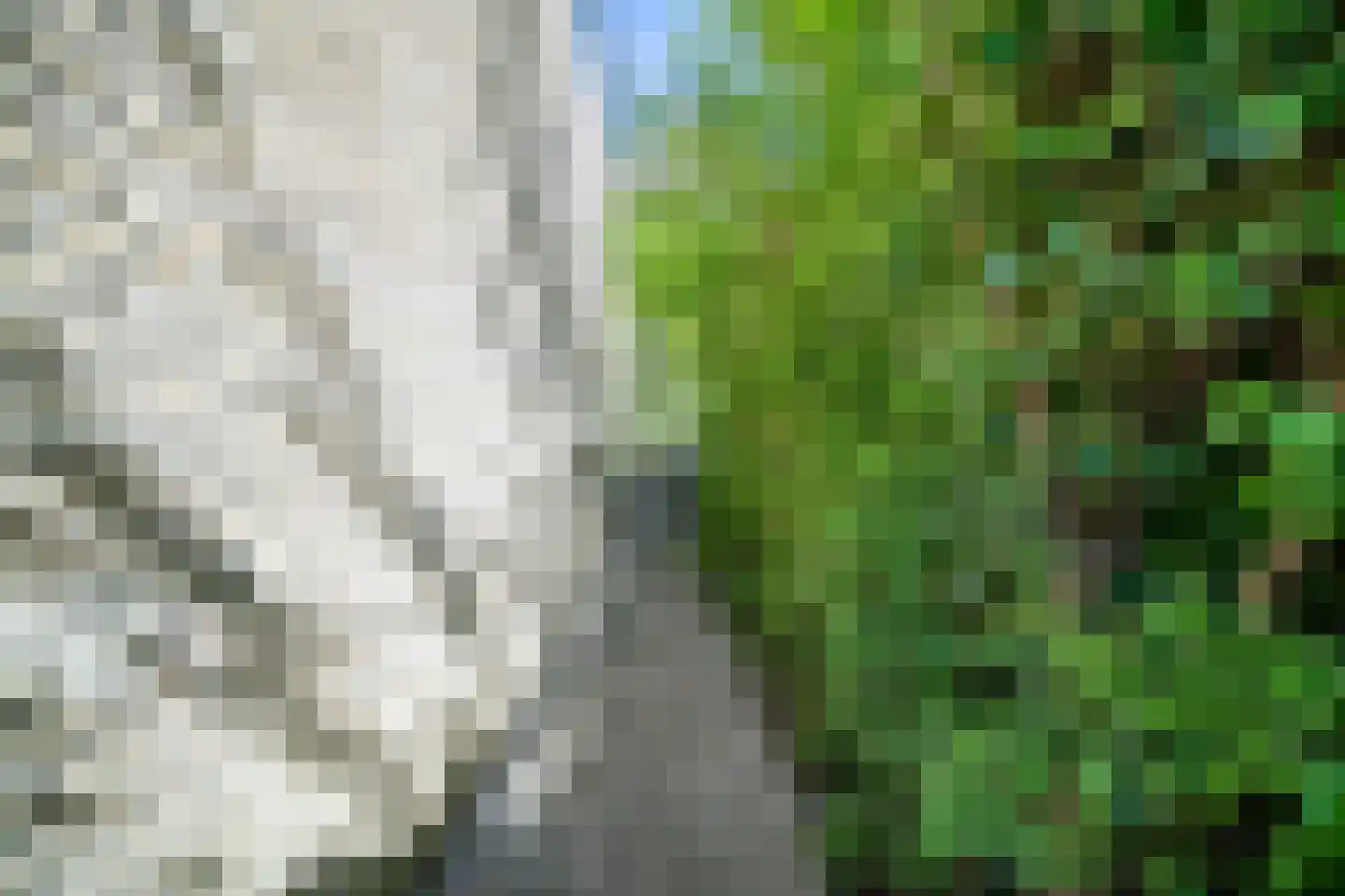 Welterdreef 171 Voorschoten thumbnail 18