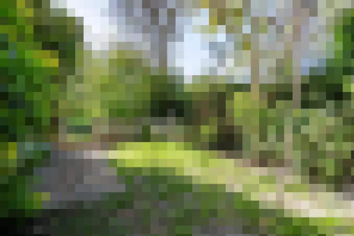 Welterdreef 171 Voorschoten thumbnail 19
