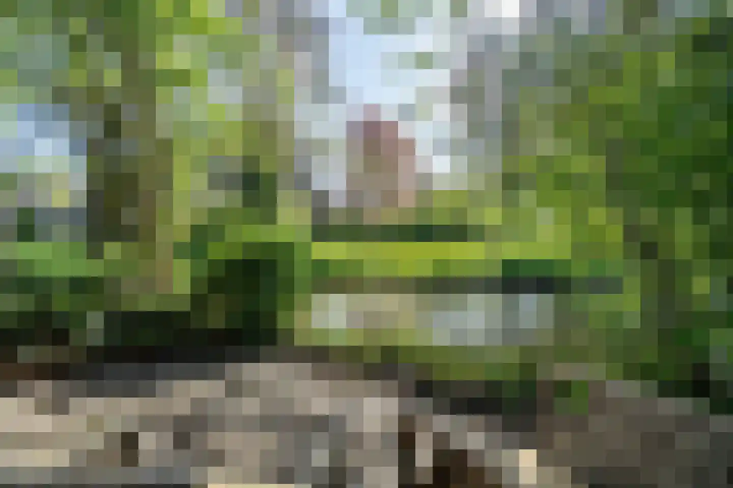 Welterdreef 171 Voorschoten thumbnail 23
