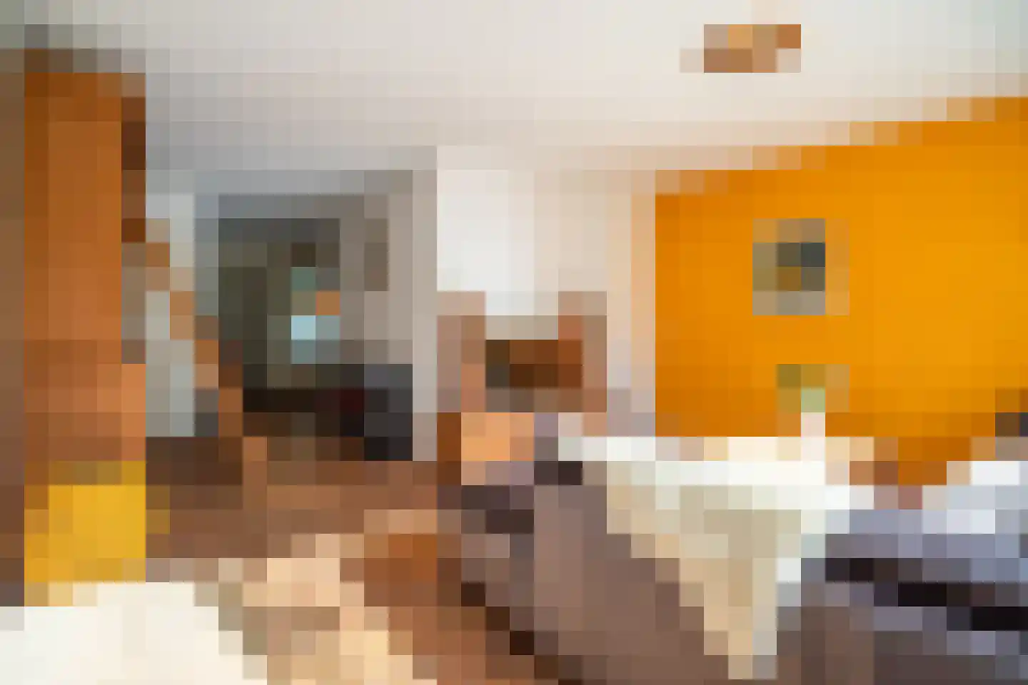 Welterdreef 171 Voorschoten thumbnail 28