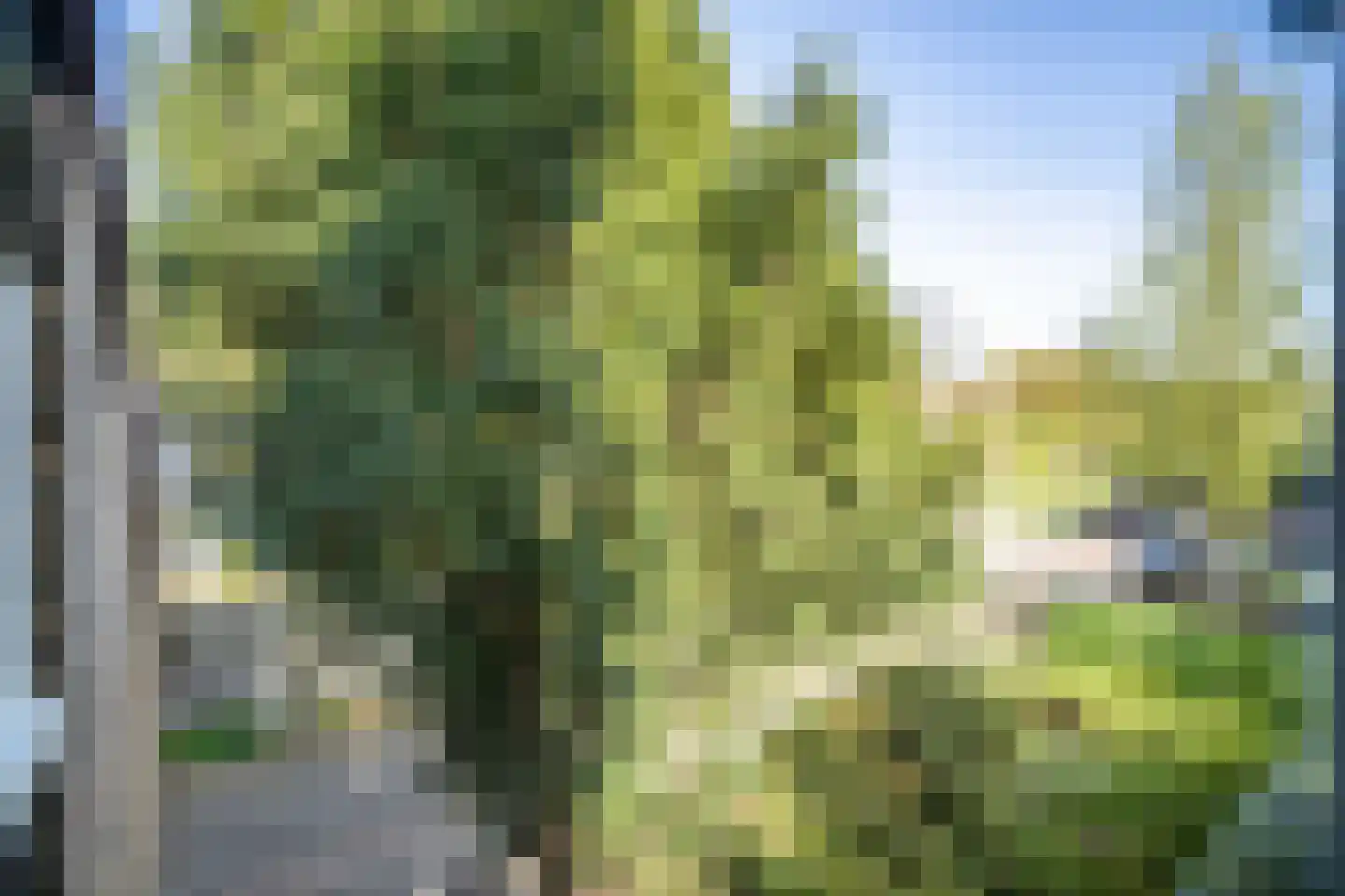 Welterdreef 171 Voorschoten thumbnail 39