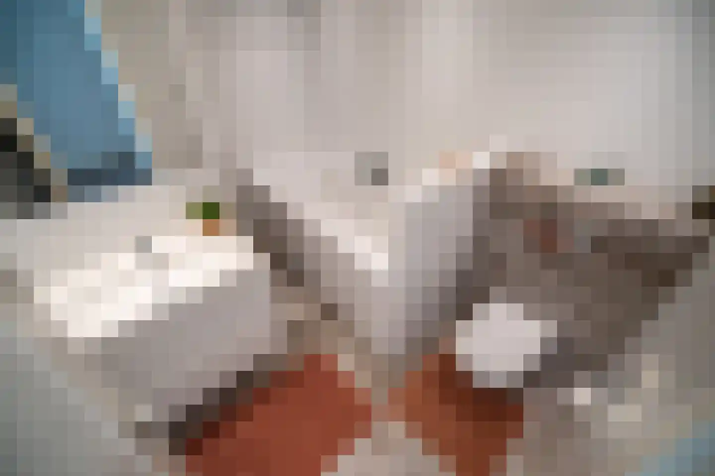 Welterdreef 171 Voorschoten thumbnail 45