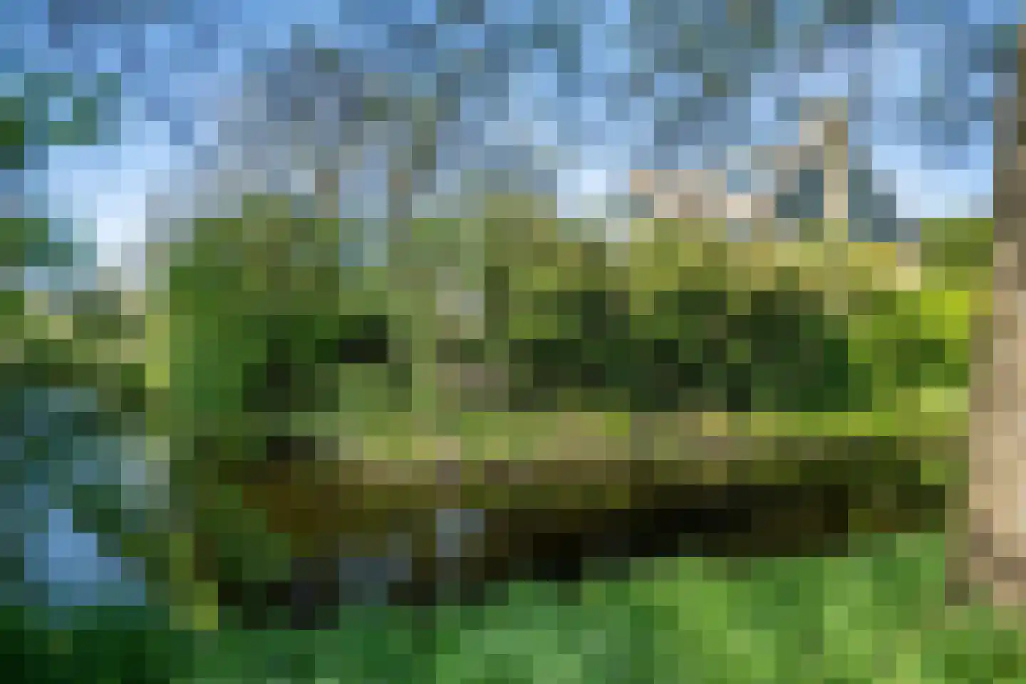 Welterdreef 171 Voorschoten thumbnail 63