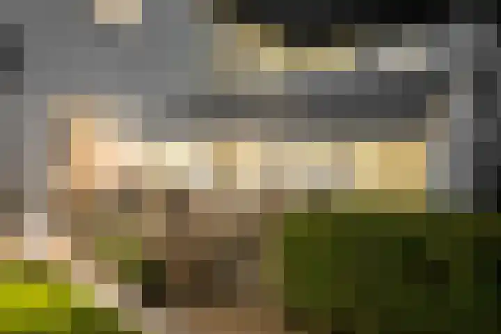 Welterlaan 28 Heerlen thumbnail 26
