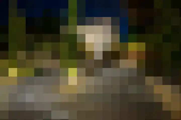 Welterlaan 28 Heerlen thumbnail 33