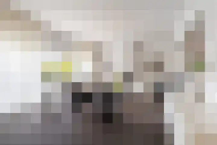 Welterlaan 28 Heerlen thumbnail 6