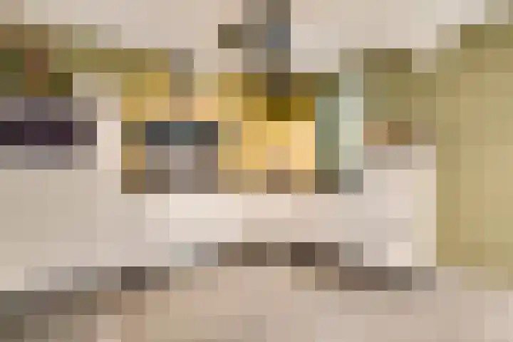 Weltersweide 29 Horst thumbnail 18