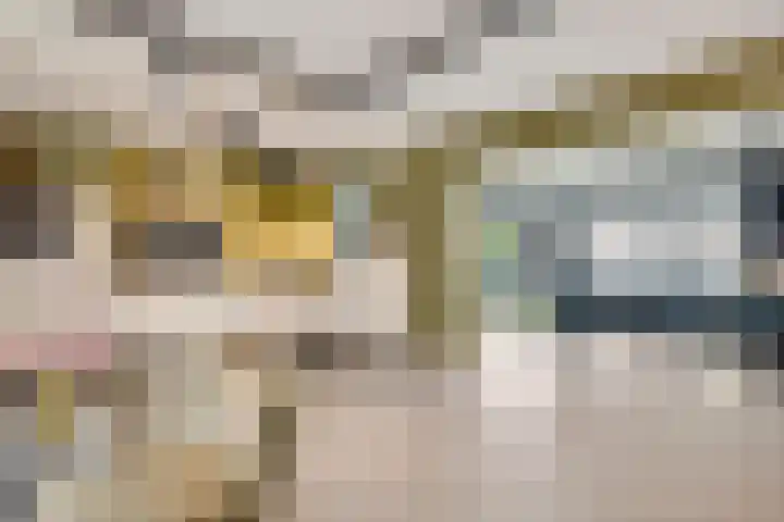 Weltersweide 29 Horst thumbnail 19