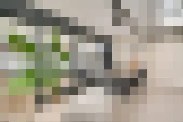 Weltersweide 29 Horst thumbnail 25
