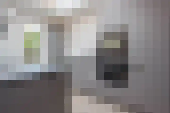 Weltersweide 37 Horst thumbnail 16