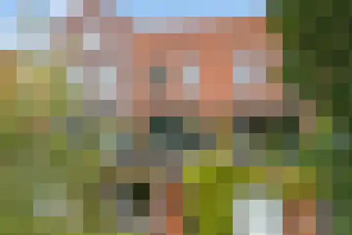 Weltevreden 101 Amersfoort