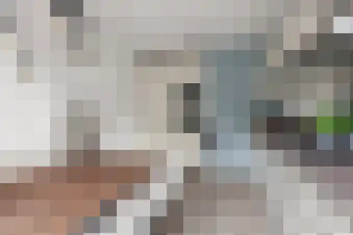 Weltevreden 101 Amersfoort thumbnail 10