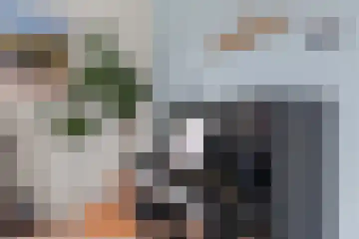 Weltevreden 101 Amersfoort thumbnail 17