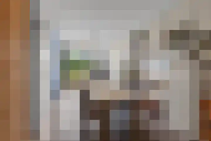 Weltevreden 101 Amersfoort thumbnail 20