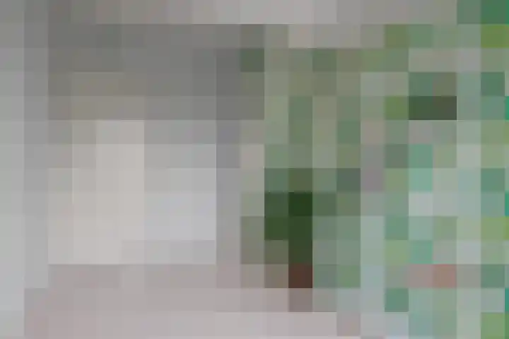 Weltevreden 101 Amersfoort thumbnail 32