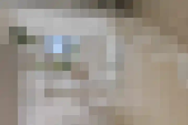 Weltevreden 101 Amersfoort thumbnail 33