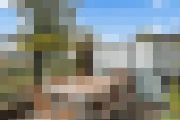 Weltevreden 101 Amersfoort thumbnail 48