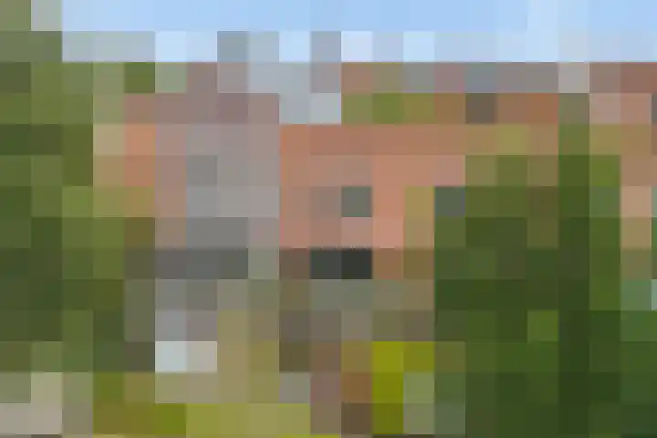 Weltevreden 101 Amersfoort thumbnail 57