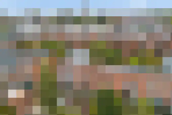 Weltevreden 101 Amersfoort thumbnail 58