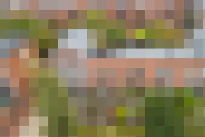 Weltevreden 101 Amersfoort thumbnail 59