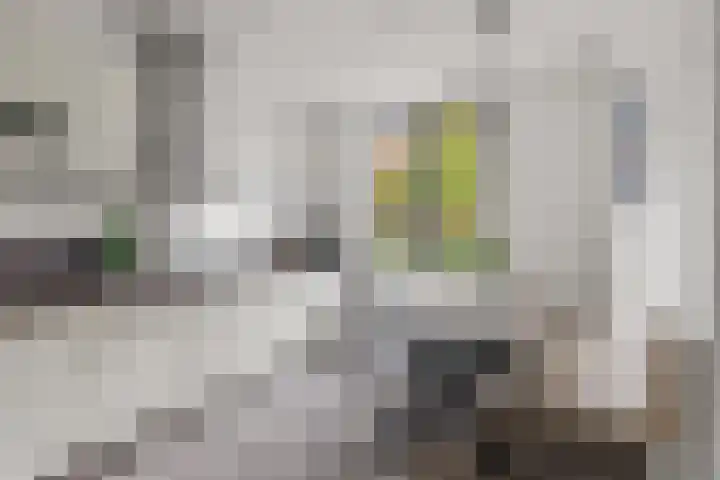 Weltevreden 101 Amersfoort thumbnail 7