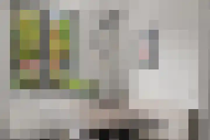 Weltevreden 101 Amersfoort thumbnail 9