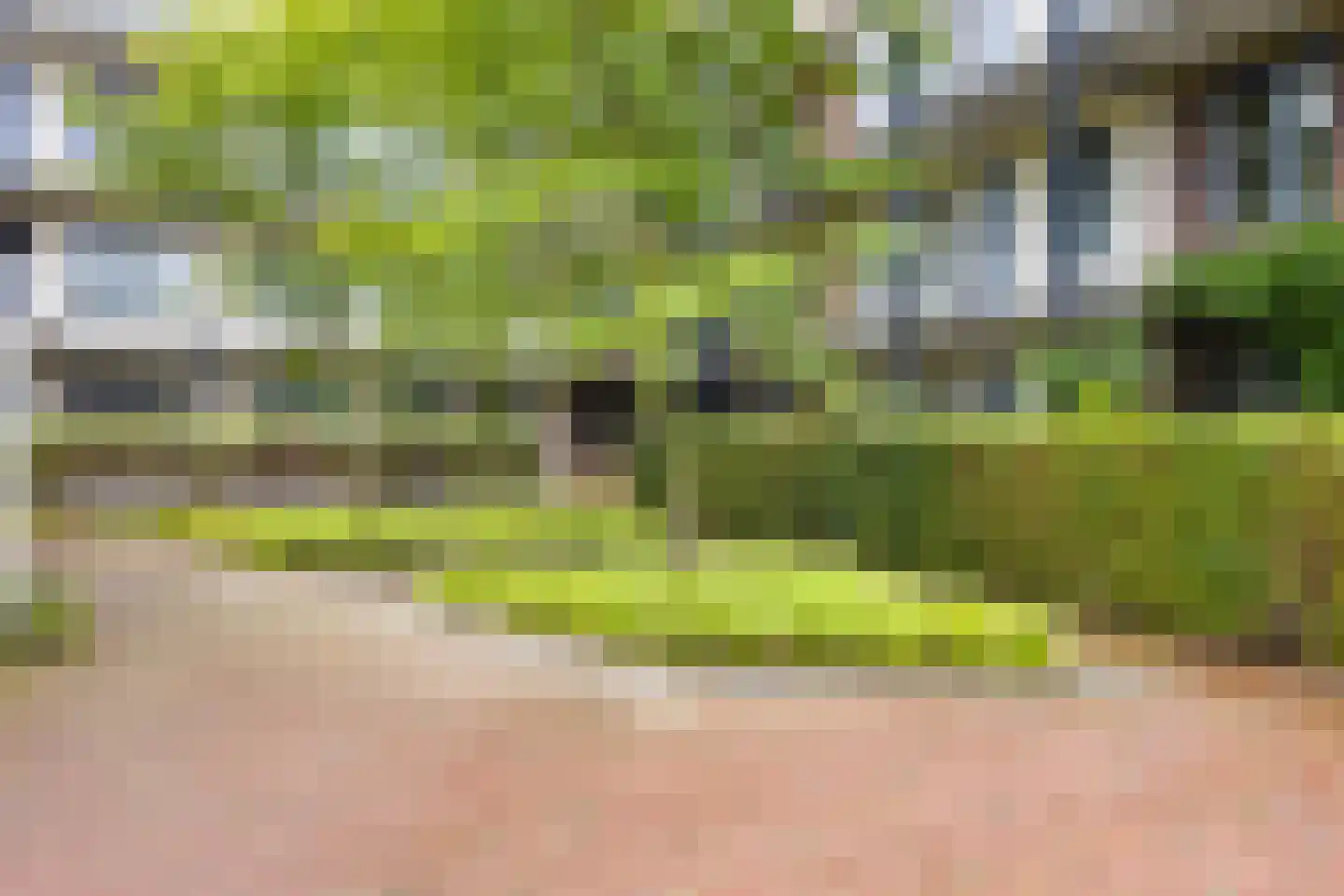 Weltevreden 15 Amersfoort thumbnail 25