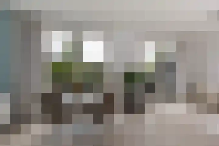 Weltevreden 19 Amersfoort thumbnail 20