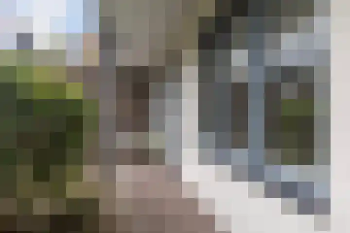 Weltevreden 19 Amersfoort thumbnail 26