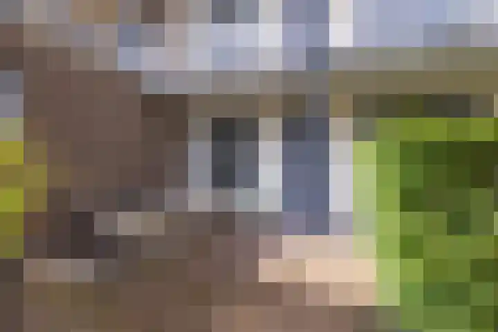 Weltevreden 19 Amersfoort thumbnail 27
