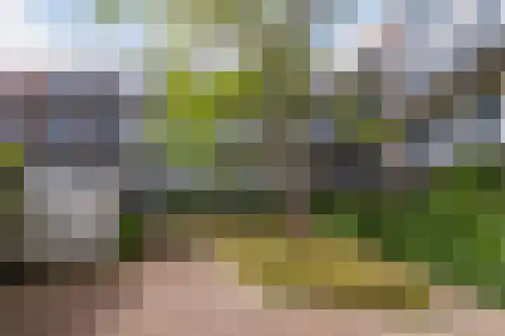 Weltevreden 19 Amersfoort thumbnail 28