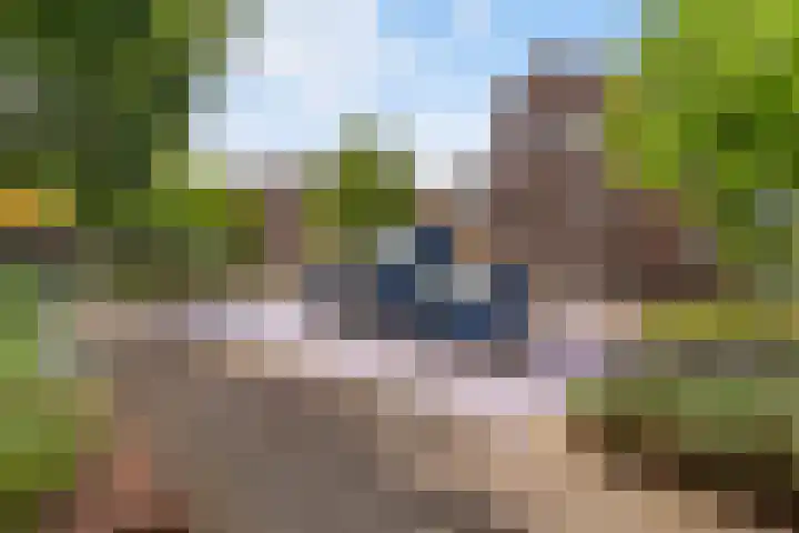 Weltevreden 19 Amersfoort thumbnail 32