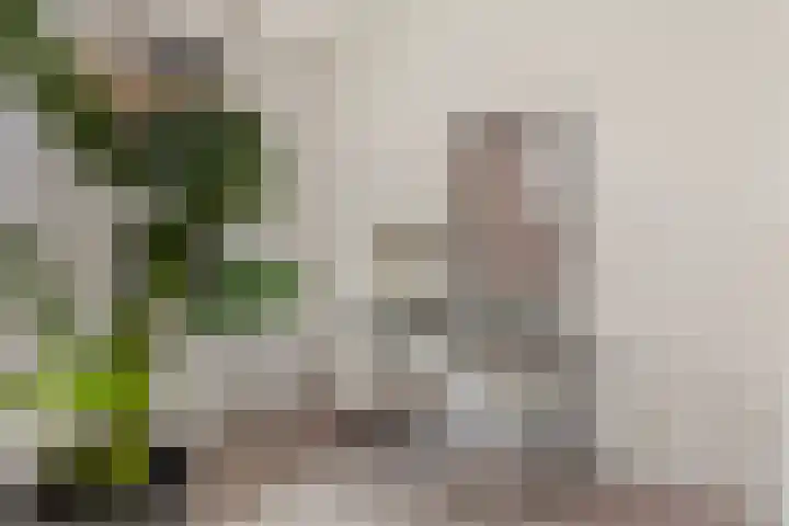 Weltevreden 19 Amersfoort thumbnail 5