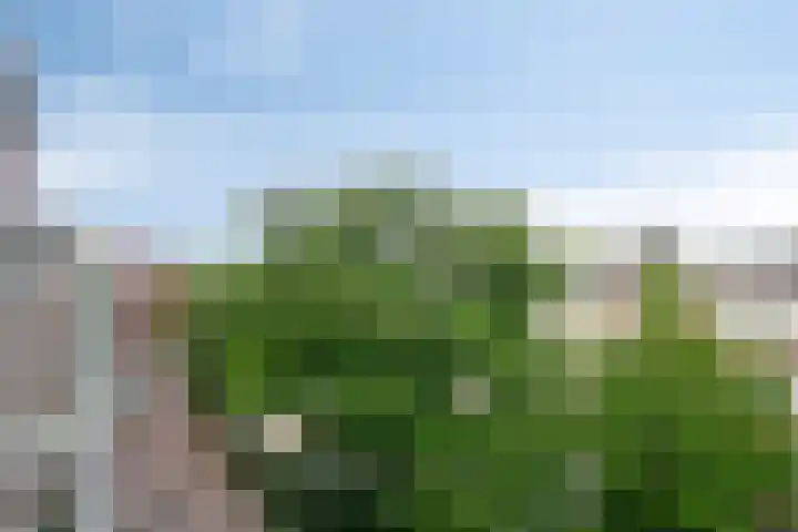 Weltevreden 38 Amersfoort thumbnail 16