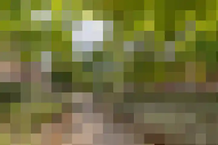 Weltevreden 38 Amersfoort thumbnail 17