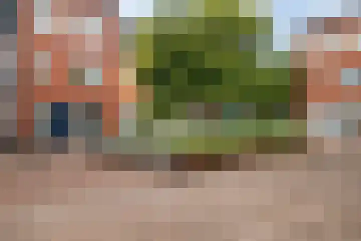 Weltevreden 38 Amersfoort thumbnail 18