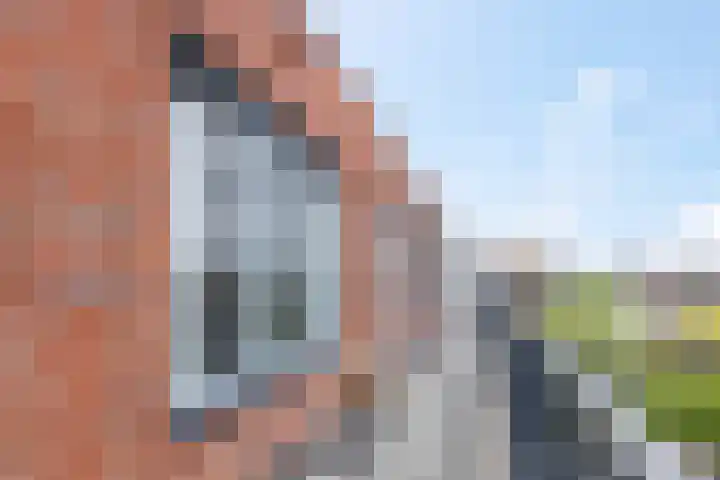 Weltevreden 87 Amersfoort thumbnail 18