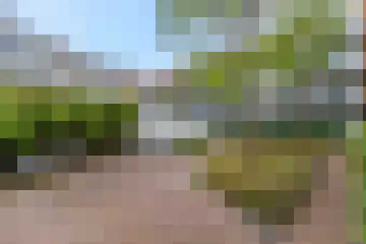 Weltevreden 87 Amersfoort thumbnail 21