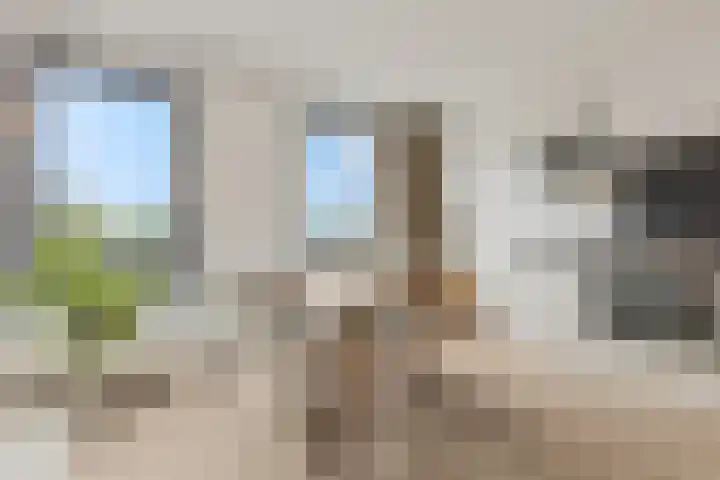 Weltevreden 87 Amersfoort thumbnail 8