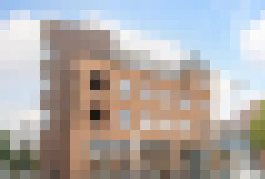 Weltevreden 91 Amersfoort thumbnail 7