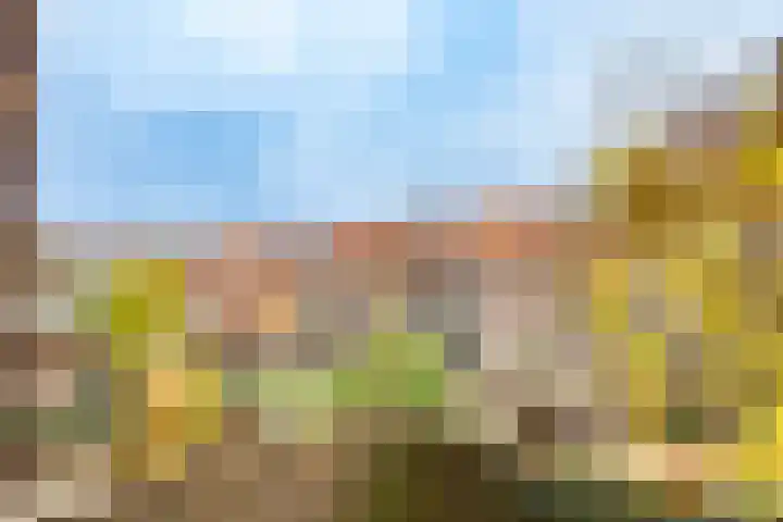 Weltevredenstraat 17 Utrecht thumbnail 4