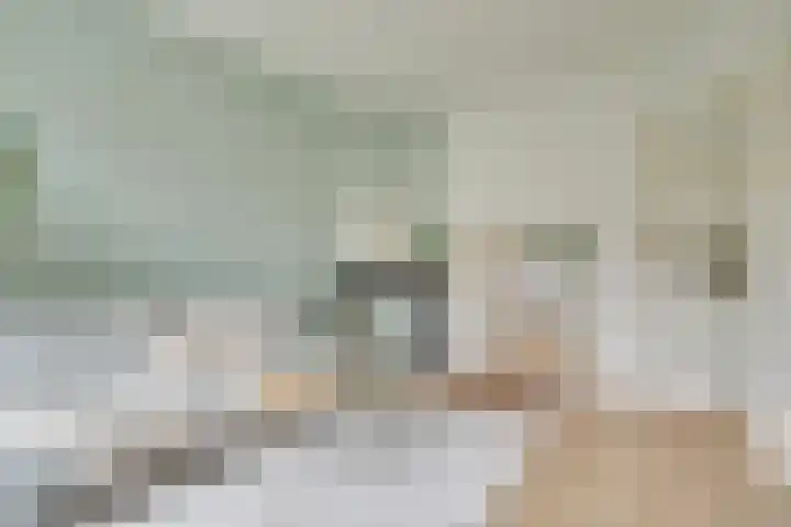 Weltevredenstraat 17 Utrecht thumbnail 7