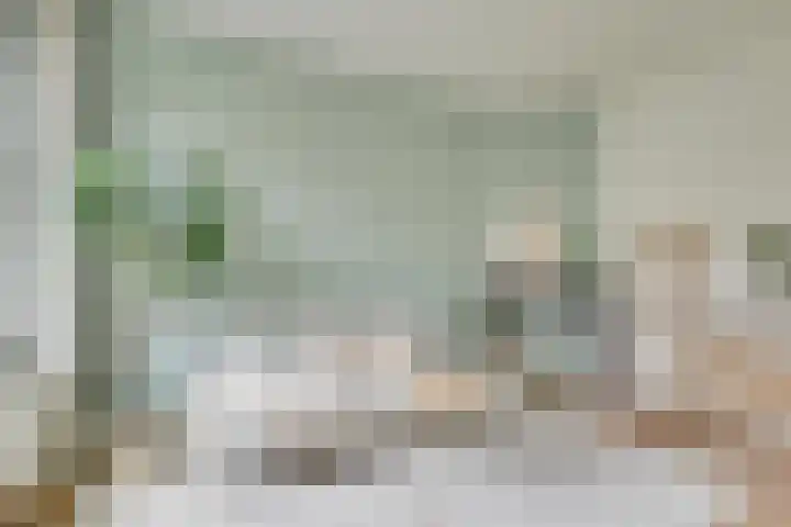 Weltevredenstraat 17 Utrecht thumbnail 8