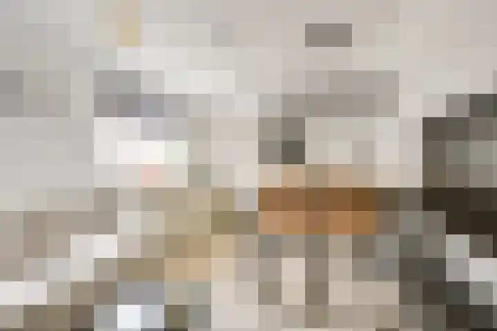 Weltevredenstraat 2 Utrecht thumbnail 10